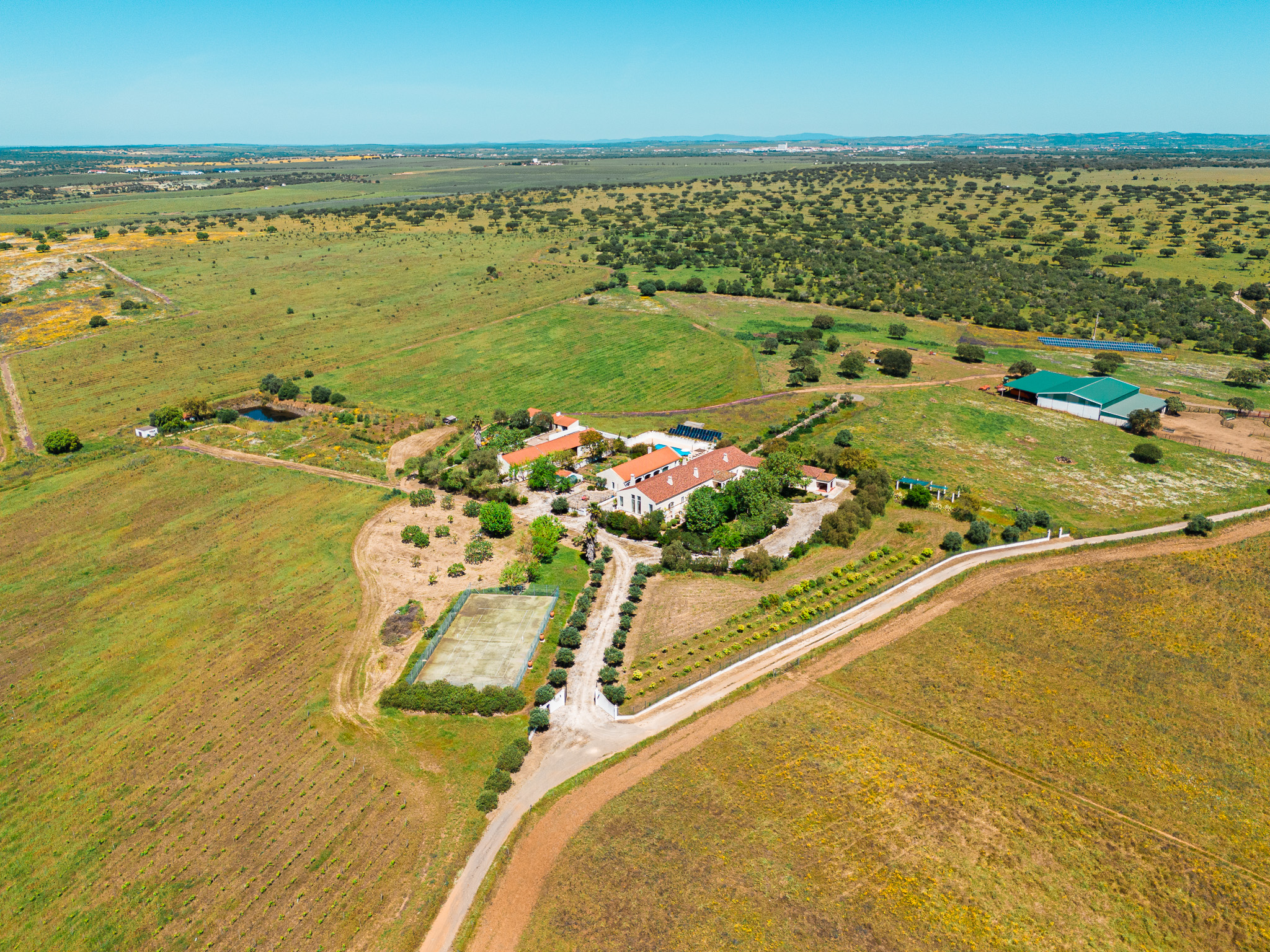 Real Estate Photo